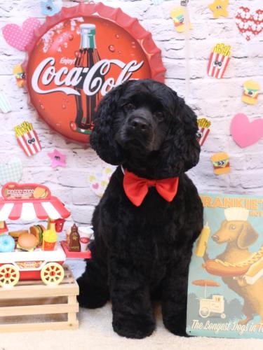 20230914天ちゃん